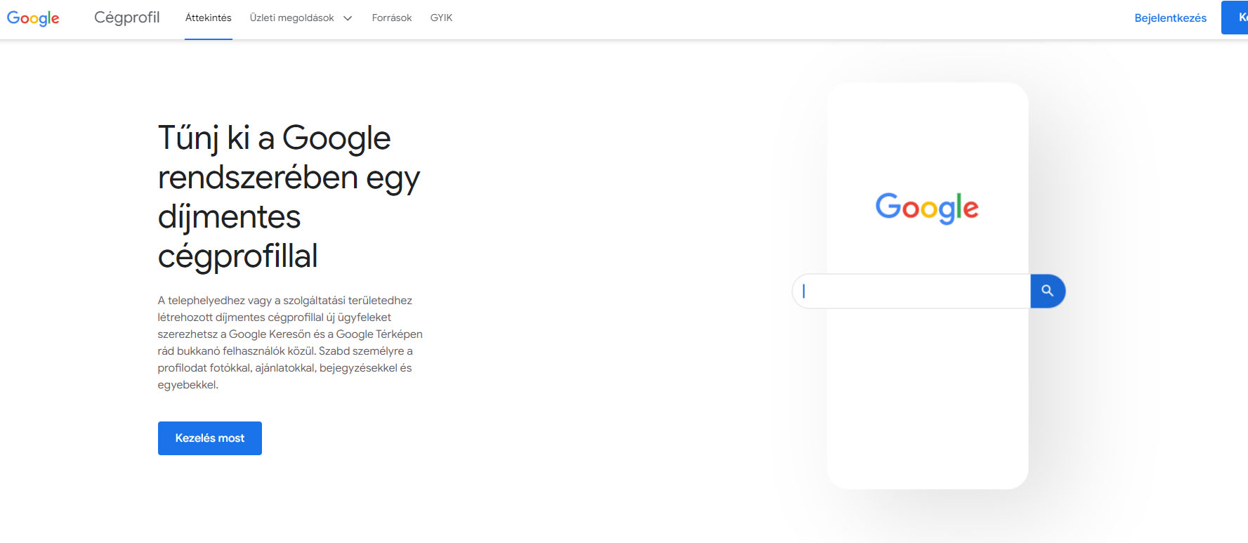 google-cegem-regisztracio